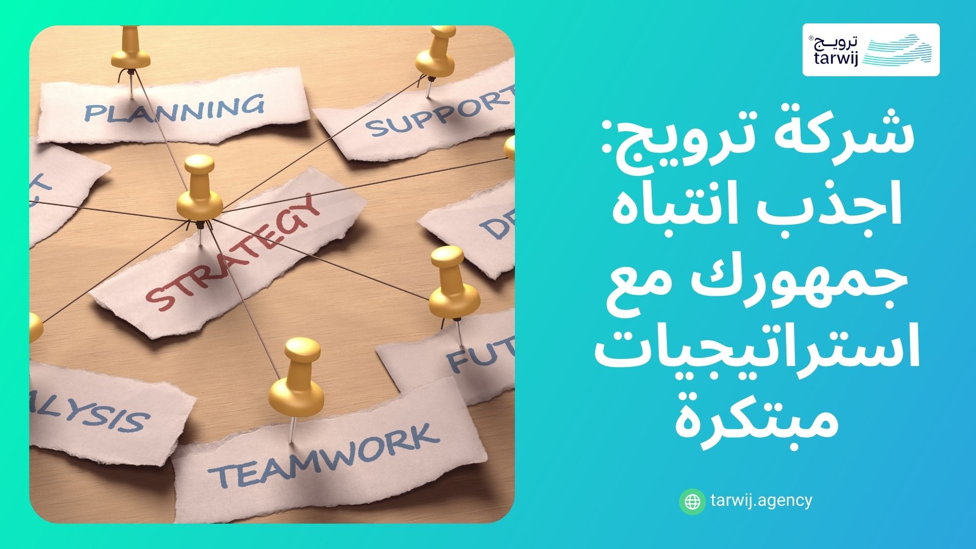 أفضل شركة ترويج