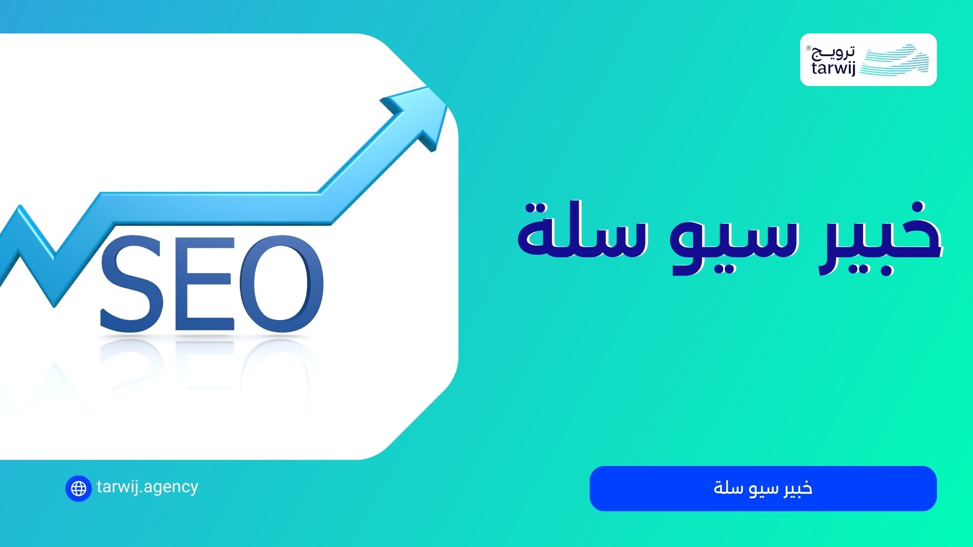 خبير منصة سلة