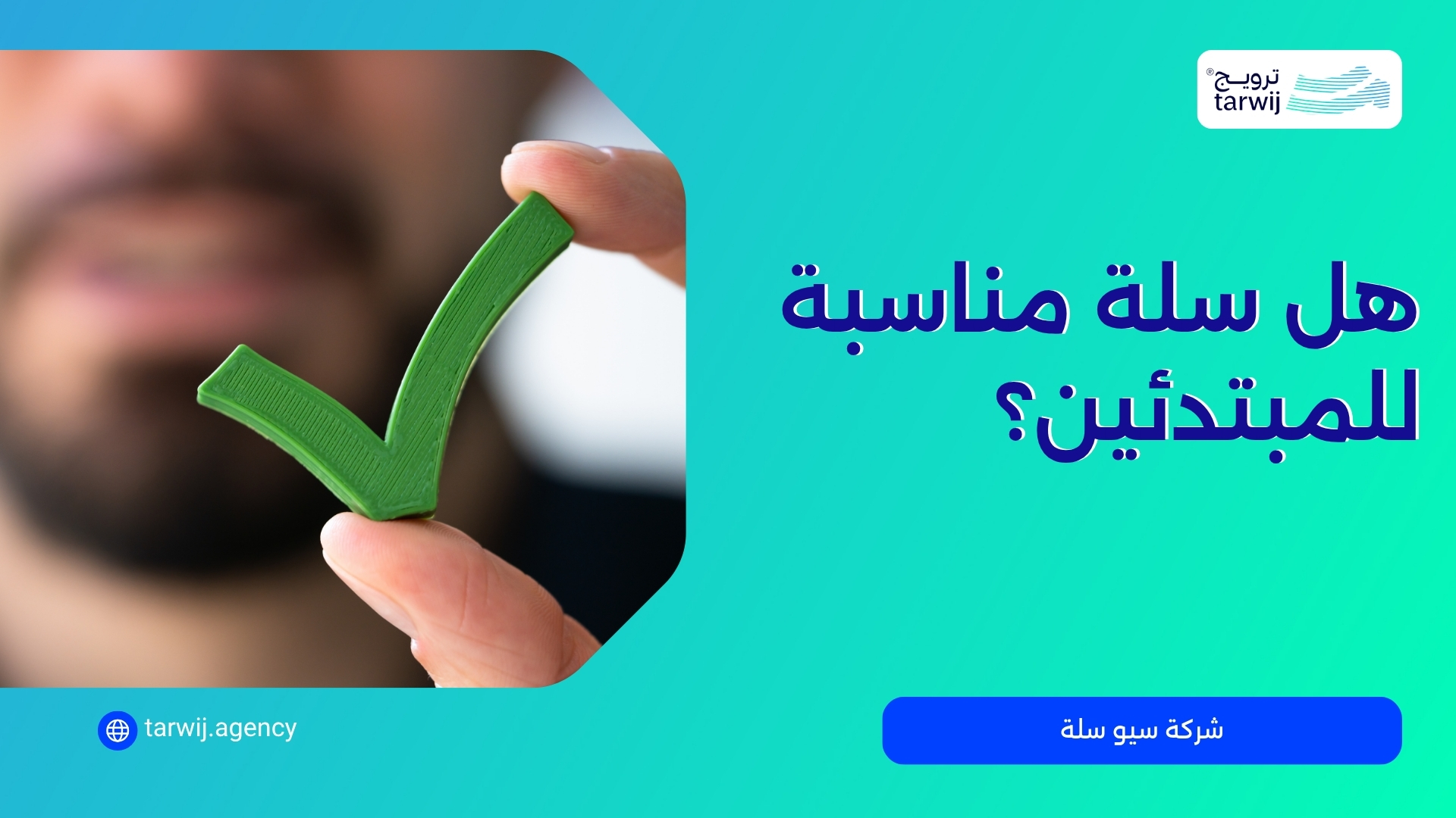 شركة سيو سلة